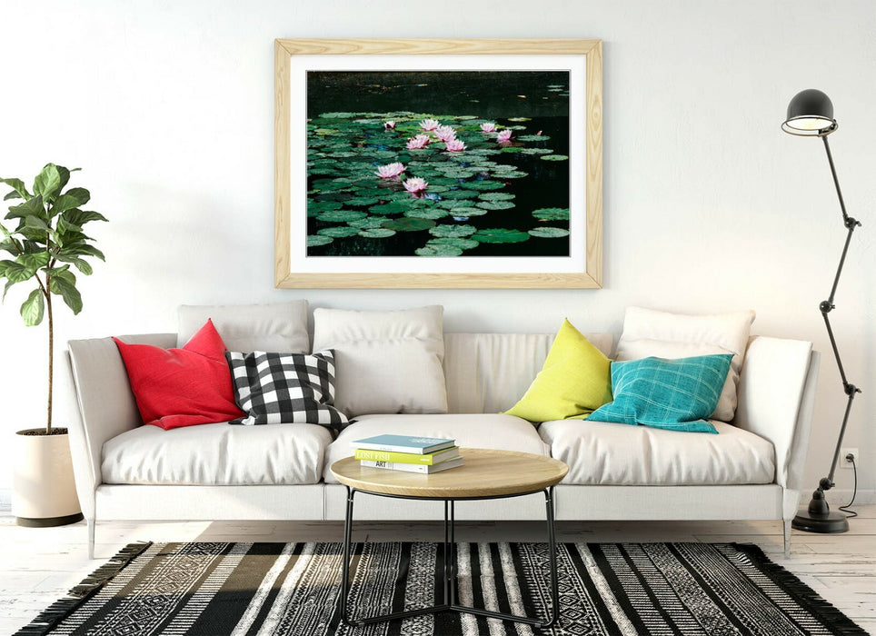 WATERLILIES FLORAL BOTANICAL PHOTOGRAPHY -FRAMED POSTER WALL ART PRINT ARTWORK