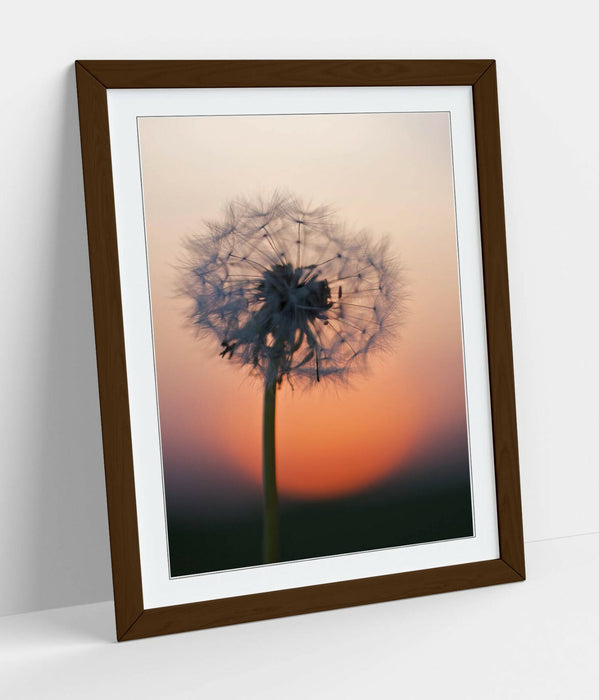 DANDELION PORTRAIT -ART FRAMED POSTER PICTURE PRINT ARTWORK- GREY BLACK