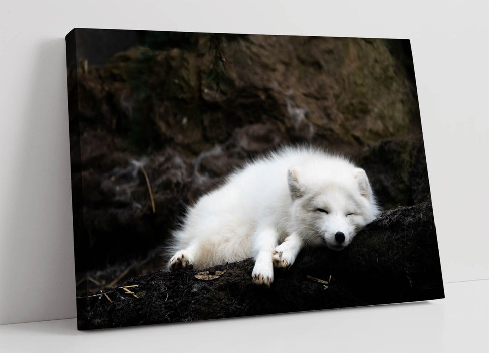 White Wolf Canvas Art – Handmade Wildlife Canvas Print | Ready To Hang Wall Decor