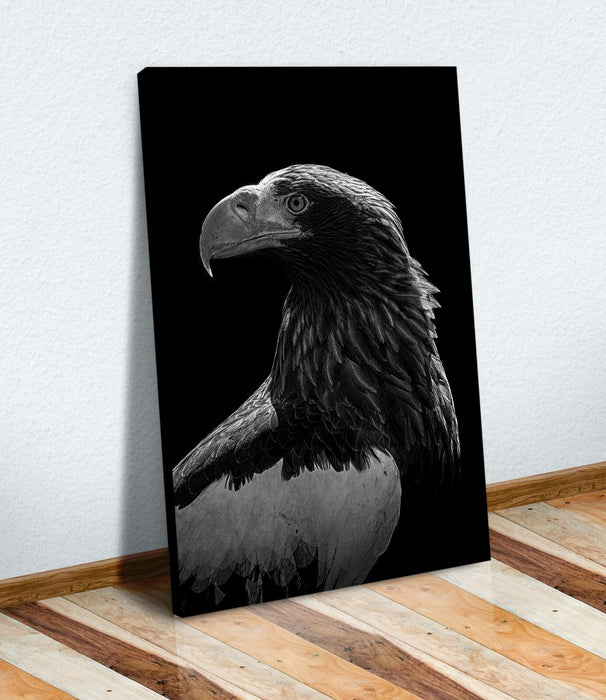 Canvas Art Print - Bald Eagle Black and White 30mm Frame Artwork | Freedom Wall Decor