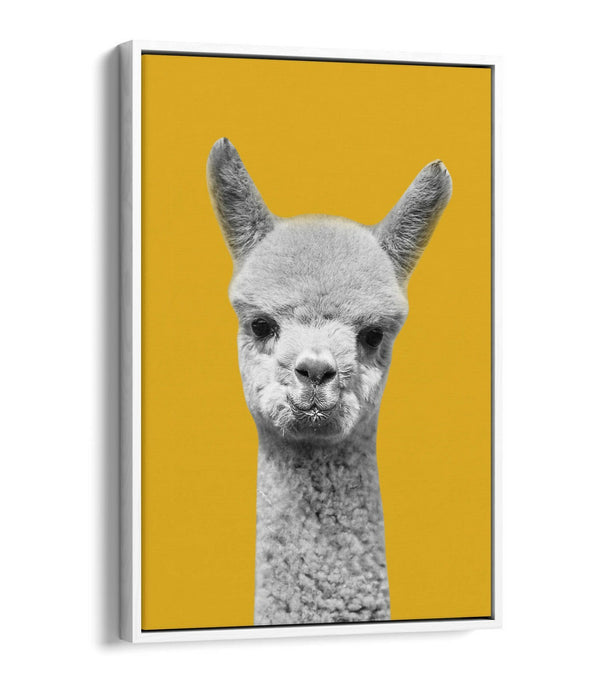 HAPPY ALPACA BLACK WHITE YELLOW MUSTARD FLOAT EFFECT CANVAS WALL ART PIC PRINT