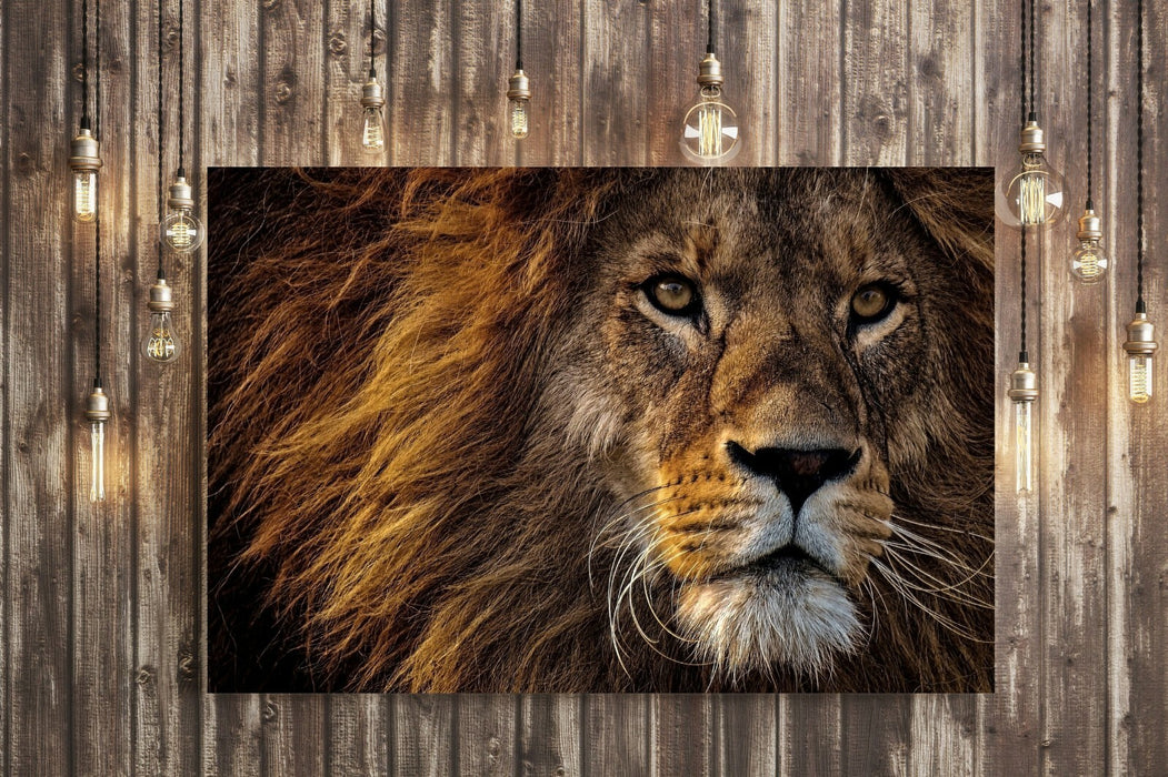 LION HEAD CANVAS WALL ART PRINT ARTWORK FRAMED  STRENGTH FIERCE COURAGE