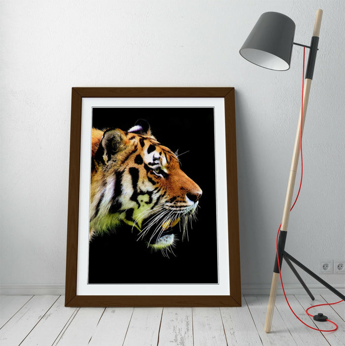 TIGER HEAD -FRAMED ART POSTER PICTURE PRINT ARTWORK- BLACK