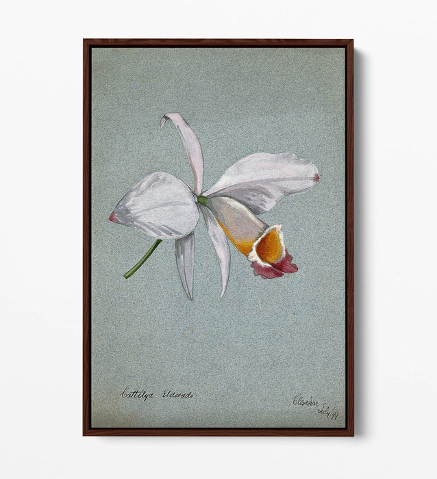 AN ORCHID WATERCOLOUR ILLUSTRATION HOME DECOR FLOAT EFFECT CANVAS WALL ART PRINT