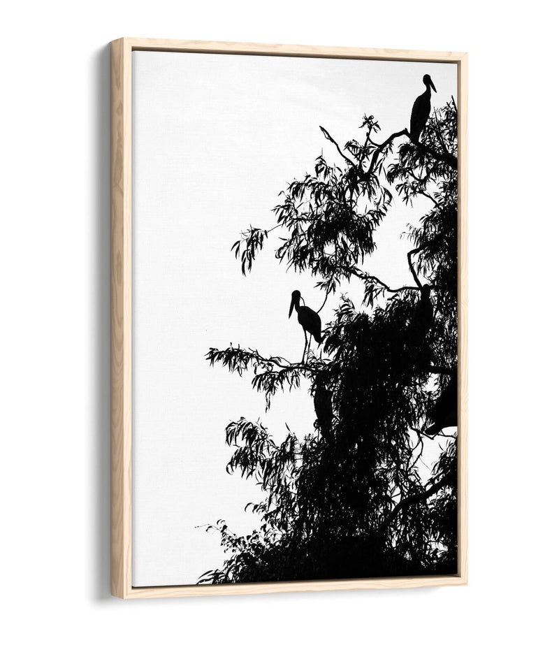 Canvas Wall Art – Bird Silhouette on Tree | Handmade Float Effect Frame, Premium Varnish Finish