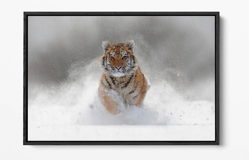 Tiger Canvas Wall Art – Running Tiger Artwork with Premium Float Frame | Handmade UK