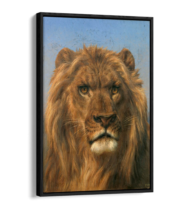 Canvas Wall Art – Lion Portrait Canvas with Float Effect, Ready to Hang