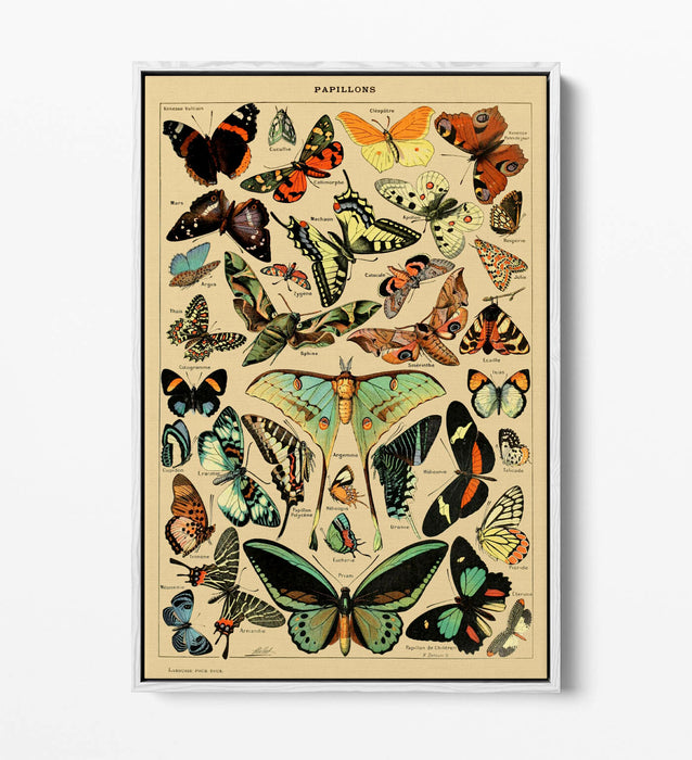 VINTAGE BUTTERFLIES ART POSTER RETRO -FLOAT EFFECT CANVAS WALL ART PRINT