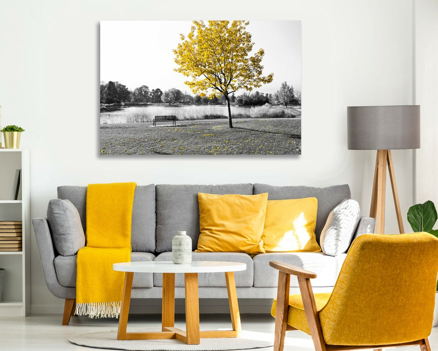Canvas Wall Art - Yellow Tree Leaves Bench Black White Print 30mm Deep Frame