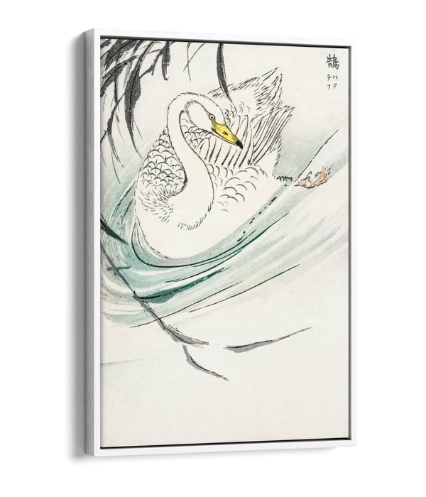 Float Effect Canvas Art - Wooper Swan Artwork on Premium 30mm Deep Frame