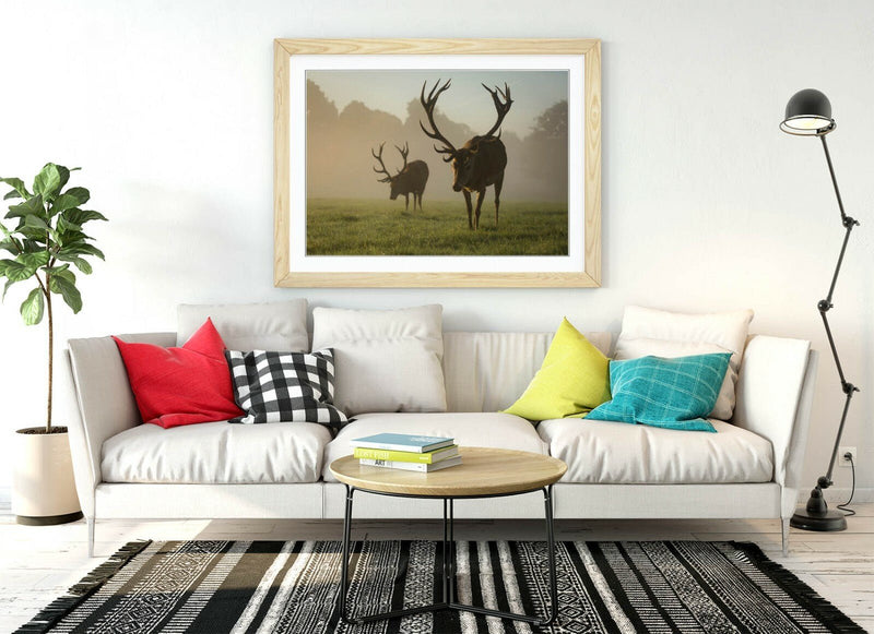Framed Wall Art - Two Stags In The Mist | Animal Photography Poster Print