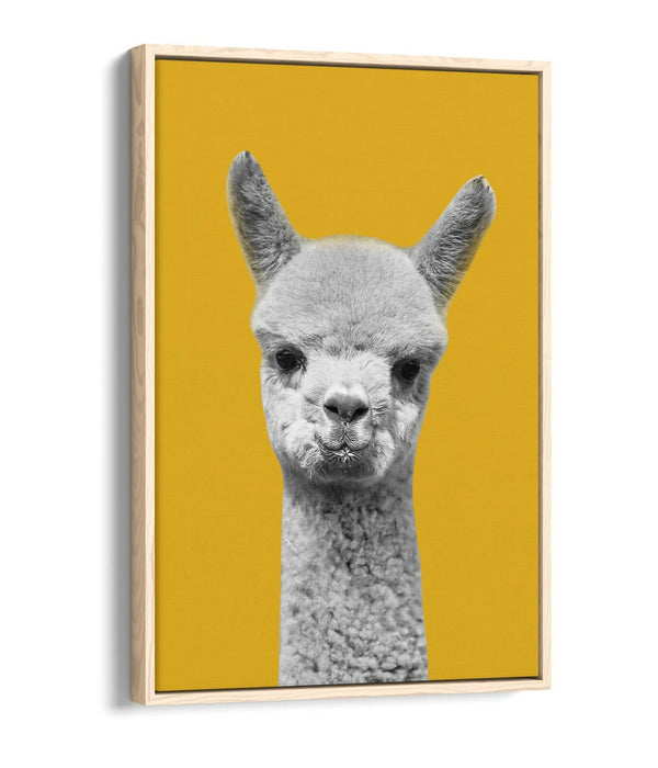 HAPPY ALPACA BLACK WHITE YELLOW MUSTARD FLOAT EFFECT CANVAS WALL ART PIC PRINT