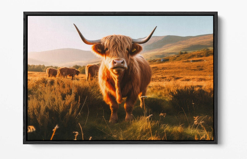 Float Effect Canvas - Highland Cows Print | Premium Varnish Finish Wall Art