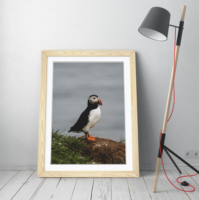Puffin Wall Art - Framed Cliff Photography Print | UK Handmade Nature Decor