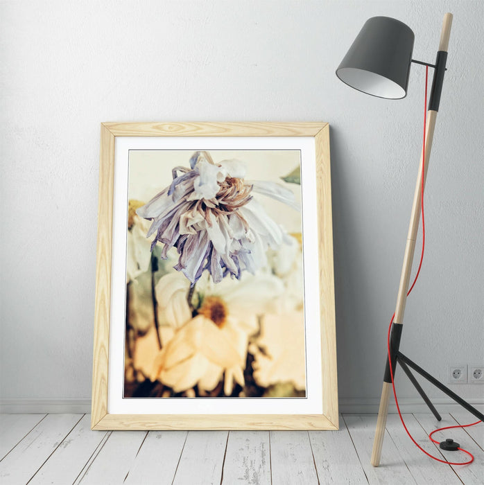 Framed Poster Art – Vintage Wall Art With Natural Wood Frame & Archival Ink Print