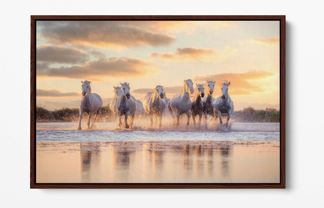 Canvas Wall Art - Wild White Horses Running On Water | Float Effect Canvas Print