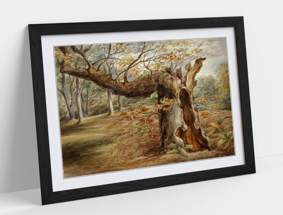 Framed Wall Art - Elizabeth Murray Rotting Tree Painting | Handmade UK Print