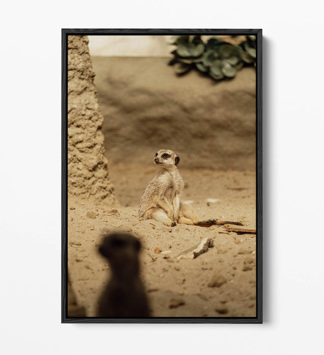 Canvas Wall Art - Cute Meerkat Print With Float Effect | Handmade UK Bedroom Decor