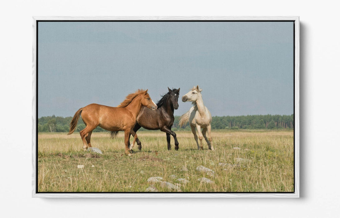 HORSES GALLOPING IN FIELD LANDSCAPE HOME DECO FLOAT EFFECT CANVAS WALL ART PRINT