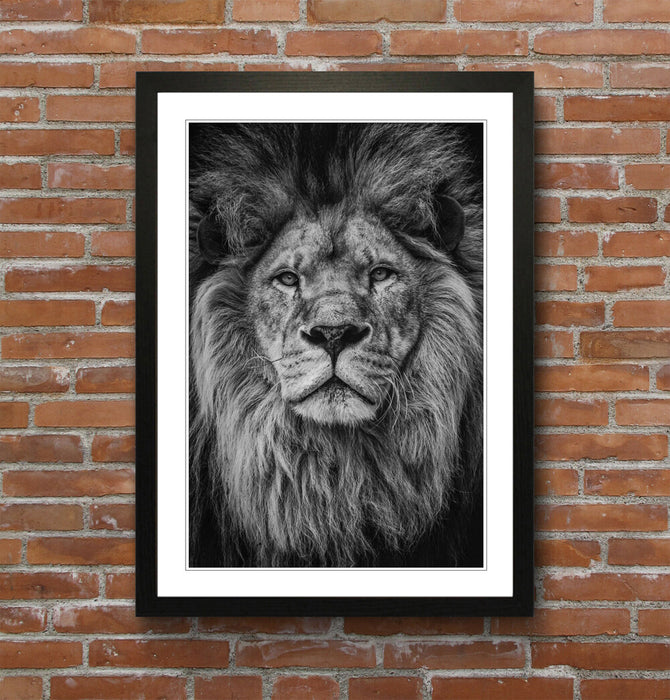 LION HEAD BLACK AND WHITE WALL ART PRINT STRENGTH COURAGE 4 FRAME SIZES POSTER
