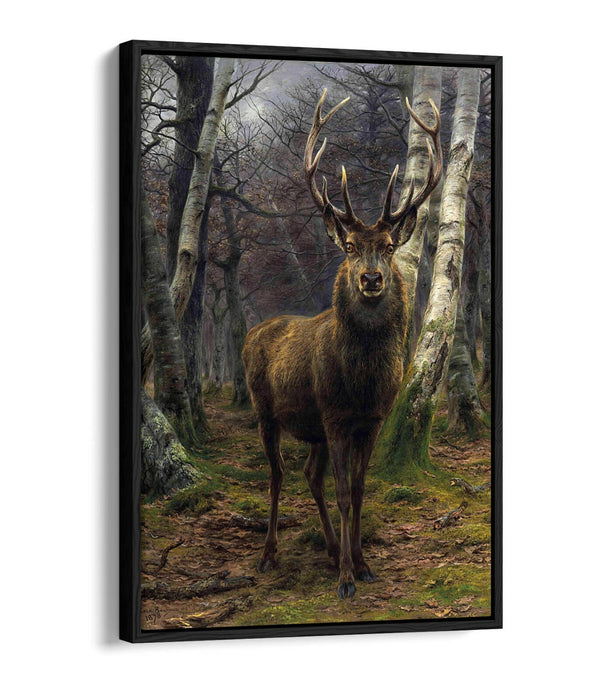 Float Effect Canvas Art - Rosa Bonheur King of The Forest Premium Wall Print