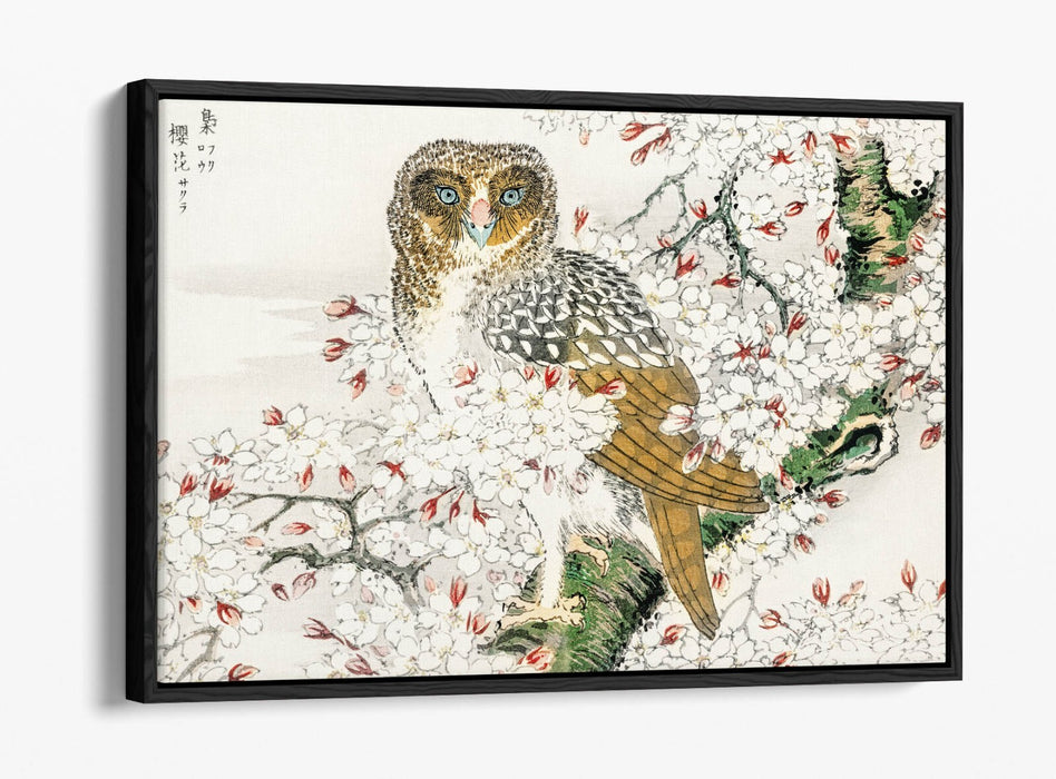 Canvas Wall Art Print – Numata Kashu Owl & Cherry Blossom Float Effect