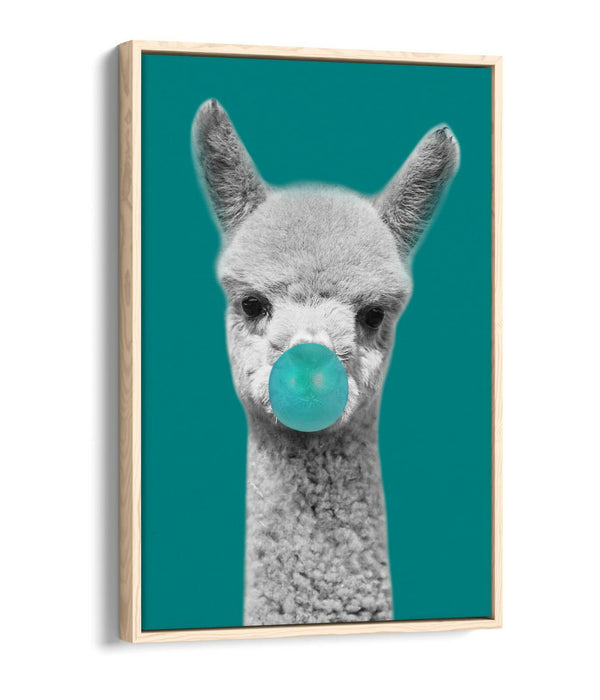 ALPACA BLACK WHITE TEAL BUBBLEGUM FLOAT EFFECT CANVAS WALL ART PIC PRINT