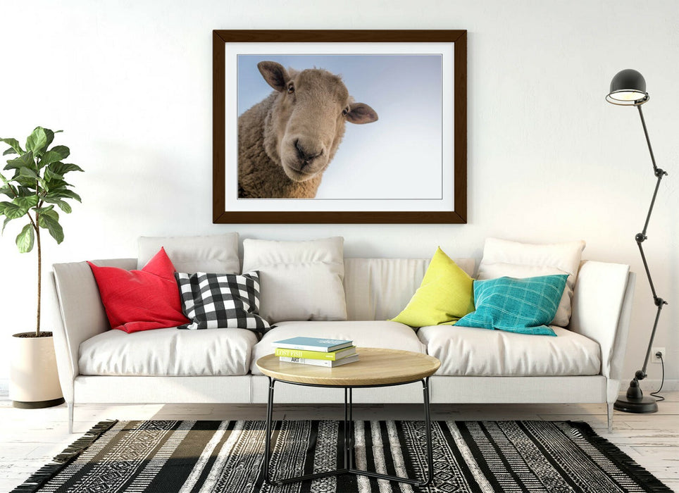 CURIOUS SHEEP -ART FRAMED POSTER PICTURE PRINT ARTWORK- BEIGE WHITE