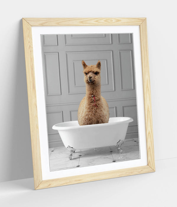LLAMA IN BATHTUB -QUIRKY ART FRAMED POSTER PICTURE PRINT BATHROOM ARTWORK