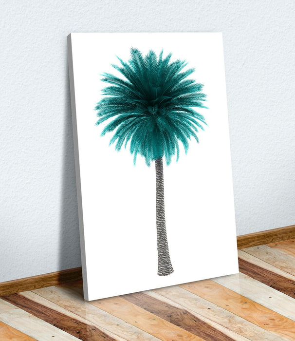 Canvas Wall Art Palm Tree Print - 30mm Deep Frame Teal Black White Decor