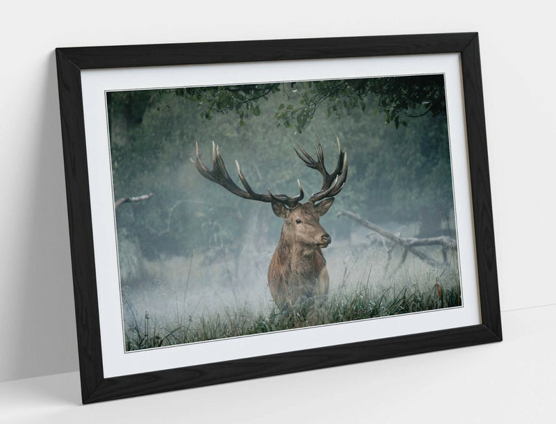 Framed Wall Art – Majestic Stag Poster Print | Wildlife Art Print With Wood Grain Frame