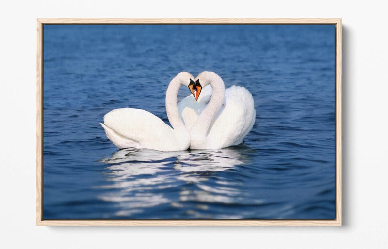 Canvas Wall Art – Swans Kissing Heart Love Print | Float Effect Bedroom Decor