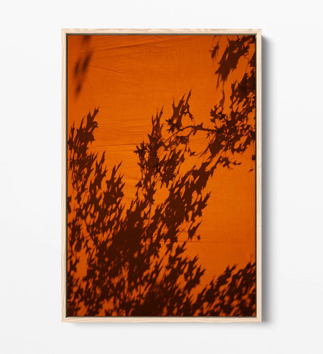 Canvas Wall Art Print - Orange Sunset Art With Tree Leaves Shadow | Float Effect Canvas