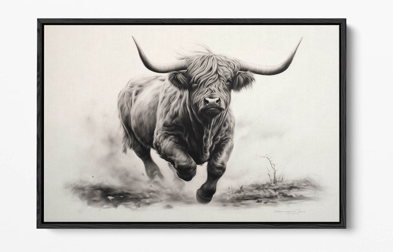 Highland Cow Canvas – Charcoal Sketch Print On Float Effect Canvas Wall Art