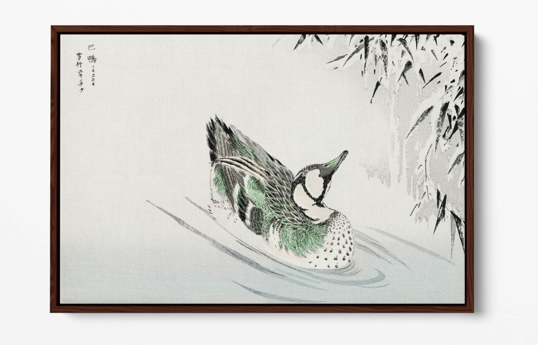 Canvas Wall Art - Numata Kashu Spectacled Teal Bamboo Float Effect Print on Premium Canvas