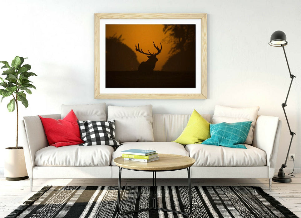 STAG SILHOUETTE SUNSET -WALL ART FRAMED POSTER PICTURE PRINT- ANIMAL PHOTOGRAPHY