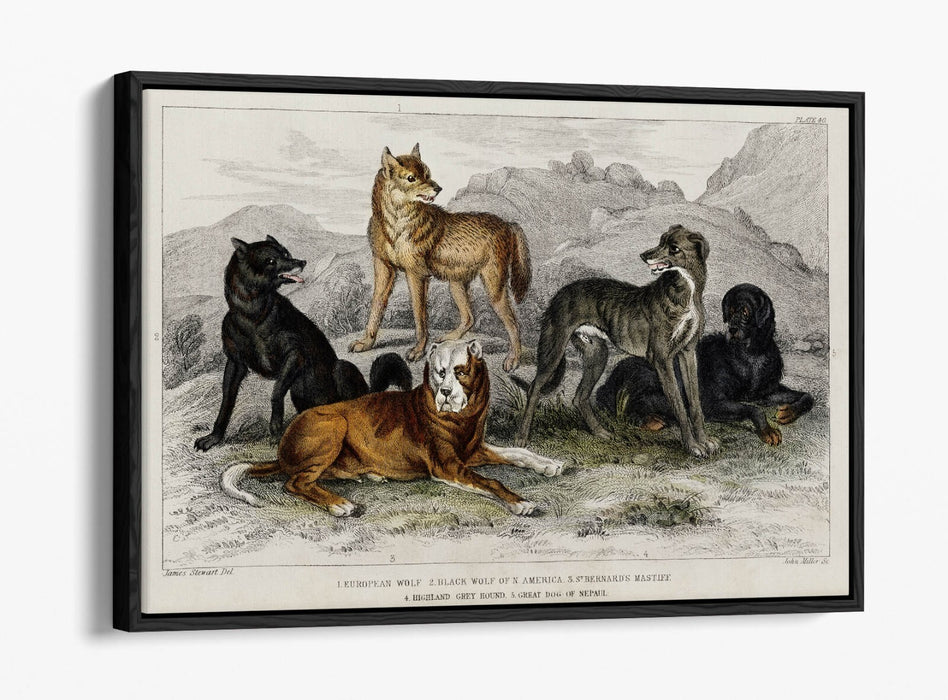 Canvas Wall Art Print | Premium Canvas Frame, Vibrant Wall Decor Dog Design