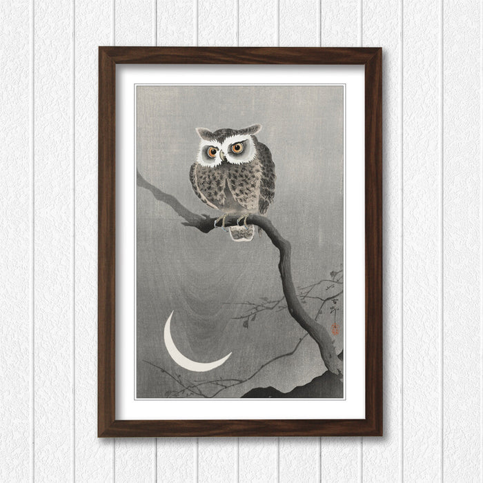 COOL OWL FRAMED WALL ART PICTURE PRINT ARTWORK POSTER JAPANESE 4 SIZES