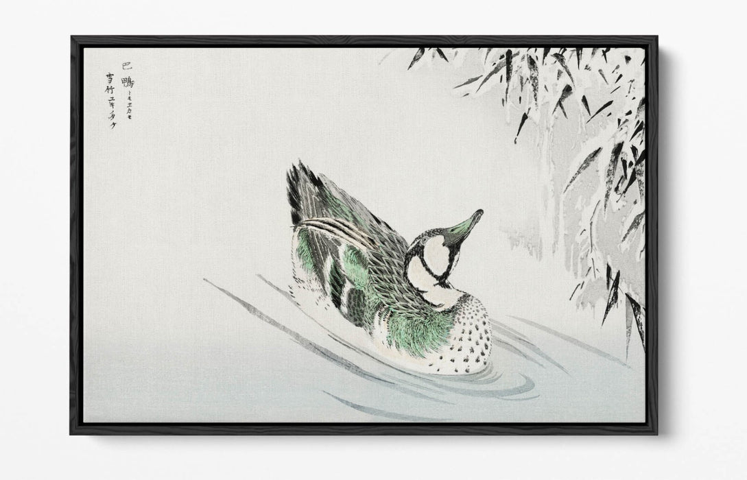 Canvas Wall Art - Numata Kashu Spectacled Teal Bamboo Float Effect Print on Premium Canvas