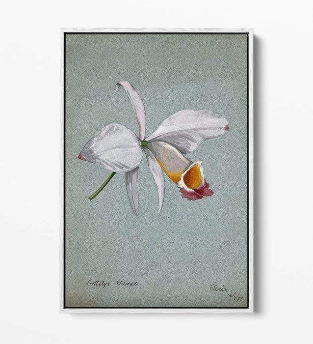 AN ORCHID WATERCOLOUR ILLUSTRATION HOME DECOR FLOAT EFFECT CANVAS WALL ART PRINT