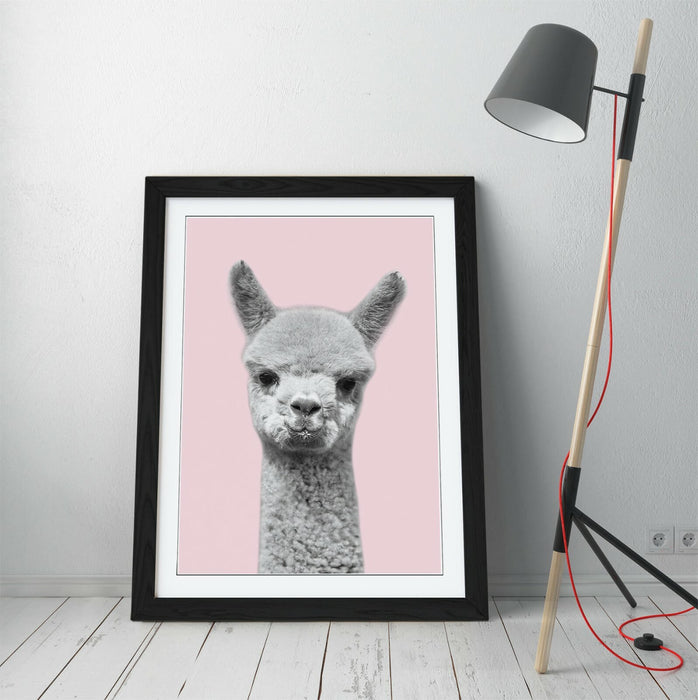 ALPACA BLACK WHITE BABY PINK -FRAMED ART POSTER PICTURE PRINT ARTWORK