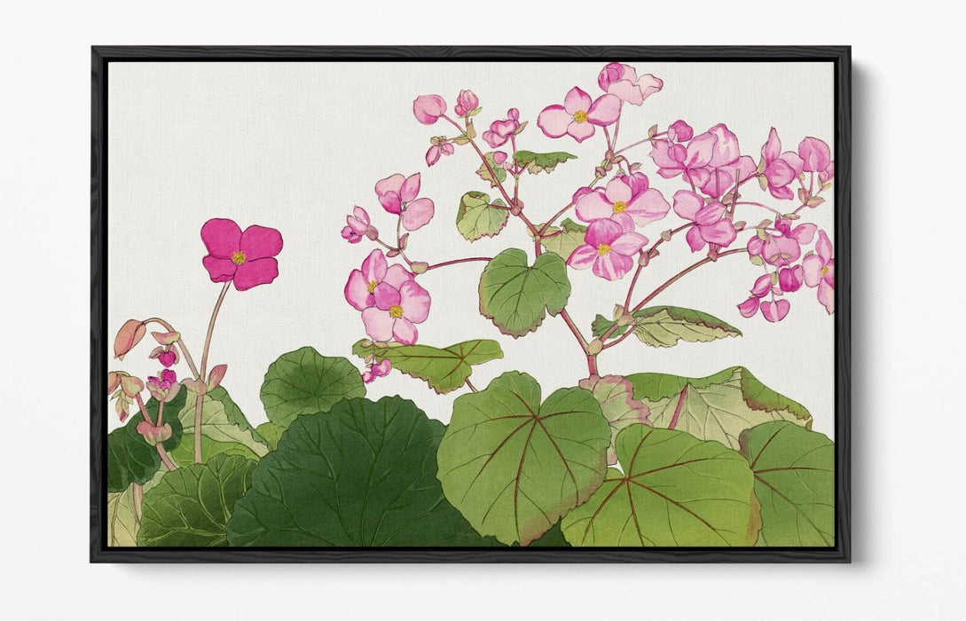 Float Effect Canvas Art – Handmade Japanese Begonia Flower Print on MDF Frame
