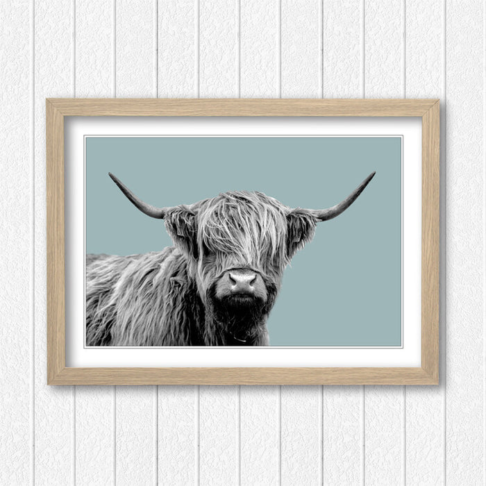 HIGHLAND COW BLACK AND WHITE DUCK EGG BLUE FRAMED POSTER WALL ART PRINT