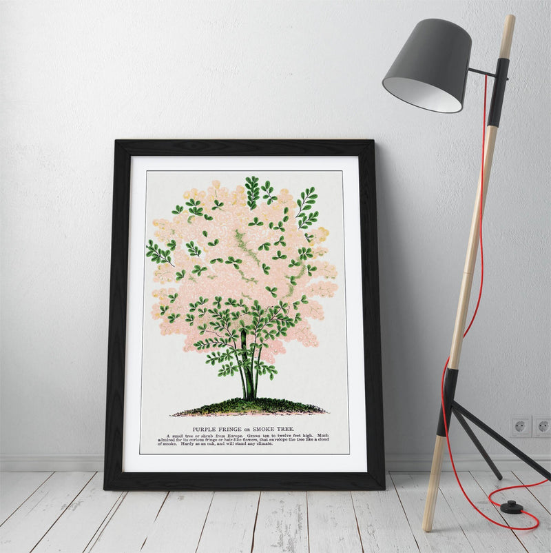 Framed Wall Art Poster - Purple Fringe Tree Print | Handmade UK Wall Art, Matte Paper