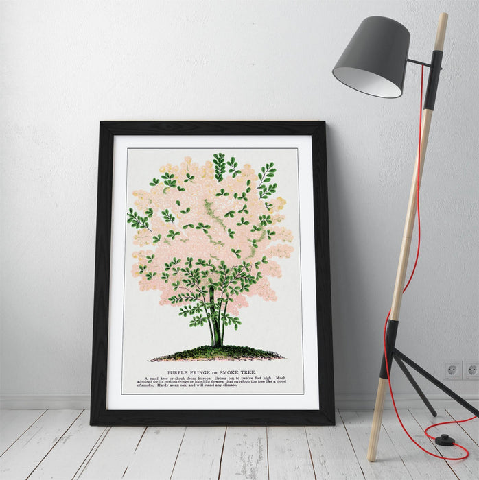 Framed Wall Art Poster - Purple Fringe Tree Print | Handmade UK Wall Art, Matte Paper