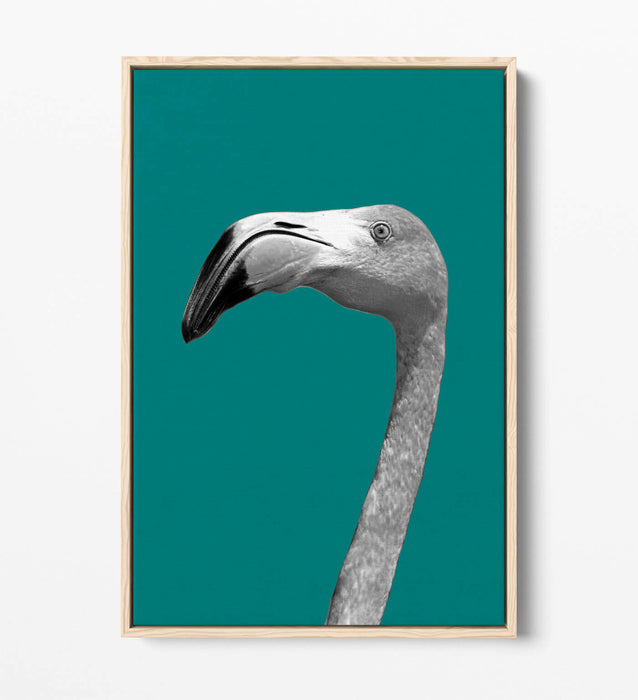 FLAMINGO HEAD TEAL -FLOAT EFFECT CANVAS WALL ART PIC PRINT- BLACK & WHITE