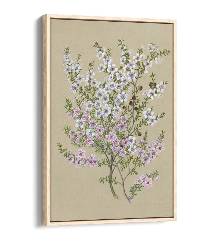 Float Effect Canvas Art - Premium Handmade UK Wall Art With 30mm Deep Frame