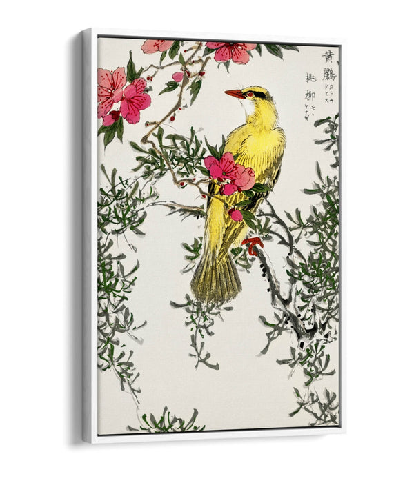 Canvas Wall Art | Handmade Float Effect Canvas Print with Premium Frame - Bird Design