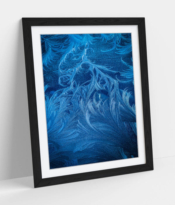 Framed Wall Art - Blue Feather Print Close Up Pattern | Handmade Home Decor Prints