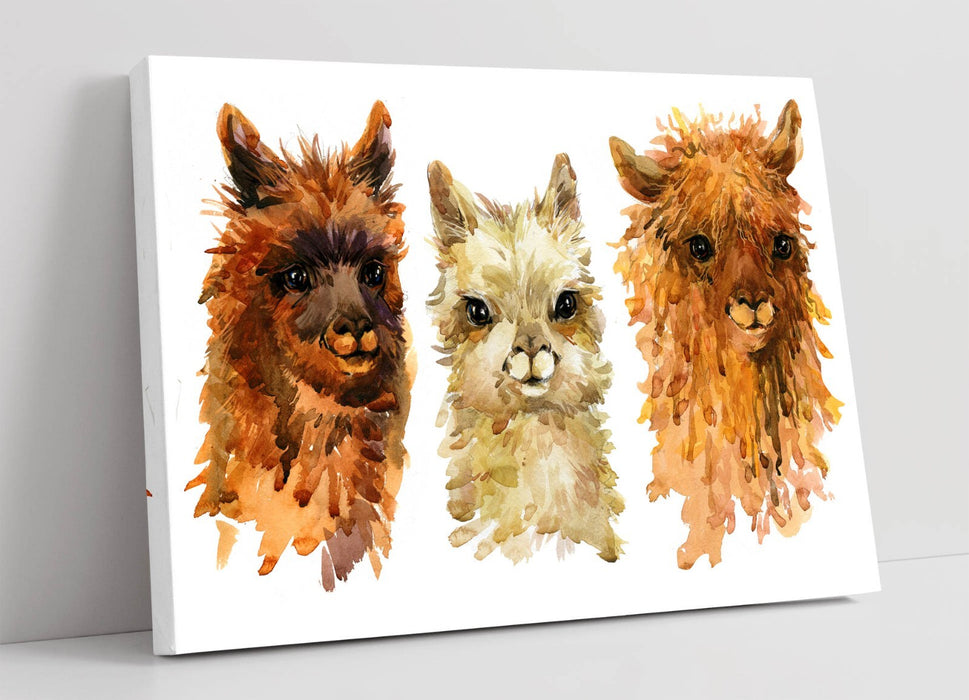 Alpaca Canvas Art - Watercolour Wall Decor With Three Cute Alpacas Painting